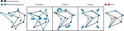 Comparative analysis of spatial ability in immersive and non-immersive virtual reality: the role of sense of presence, simulation sickness and cognitive load